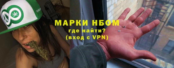 ПСИЛОЦИБИНОВЫЕ ГРИБЫ Абаза