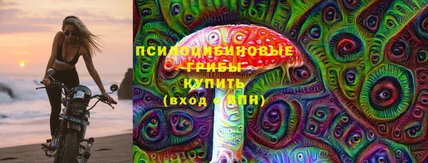 ПСИЛОЦИБИНОВЫЕ ГРИБЫ Абаза
