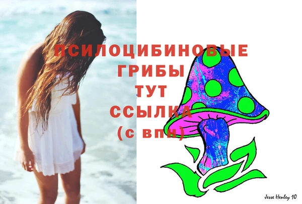 мяу мяу мука Гусев